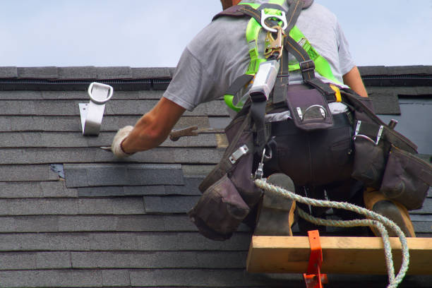 Professional Roofing Contractor in Trinity, FL