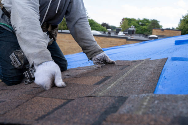 Quick and Trustworthy Emergency Roof Repair Services in Trinity, FL