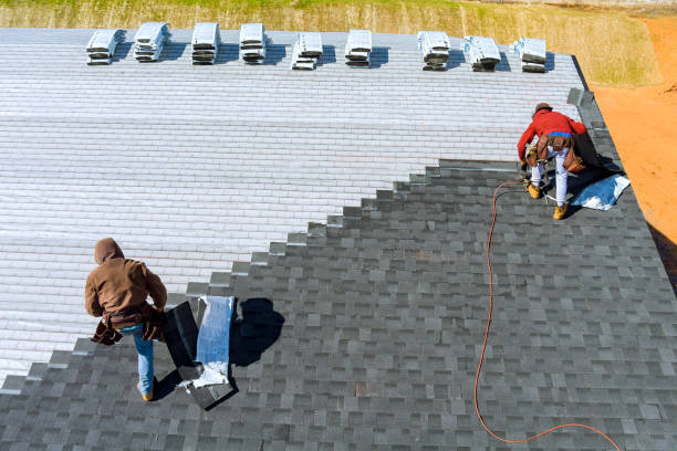 Best Residential Roofing Contractor  in Trinity, FL