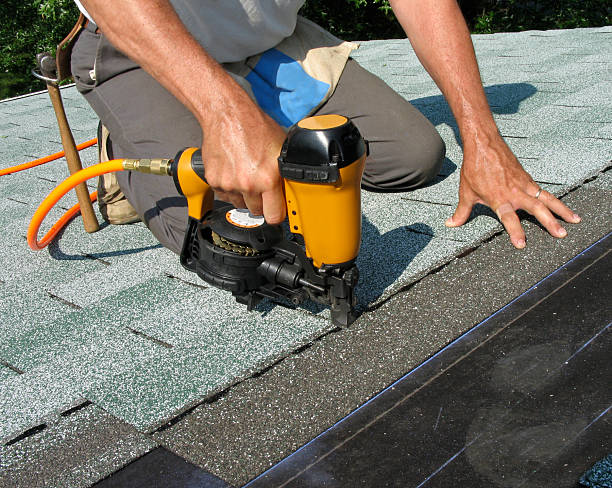 Best Roofing Contractor Near Me  in Trinity, FL