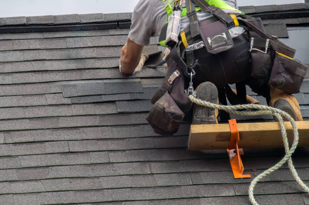 Quick and Trustworthy Emergency Roof Repair Services in Trinity, FL