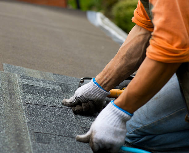 Best Roof Leak Repair  in Trinity, FL