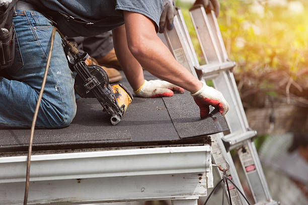 Best Commercial Roofing Services  in Trinity, FL
