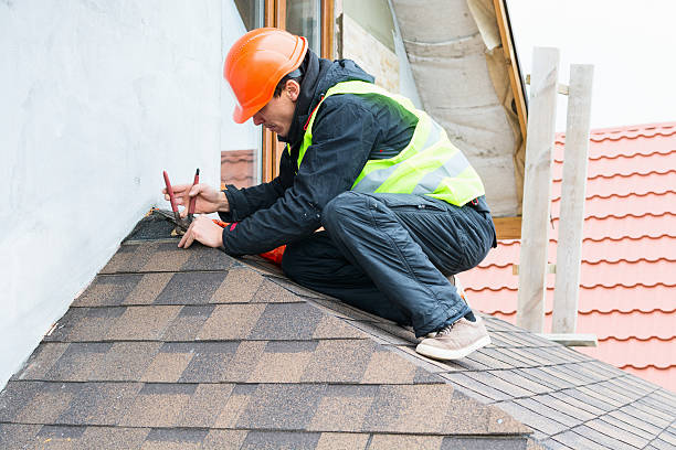 Best Roof Gutter Cleaning  in Trinity, FL