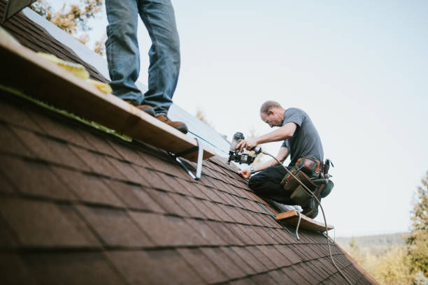 Best Storm Damage Roof Repair  in Trinity, FL